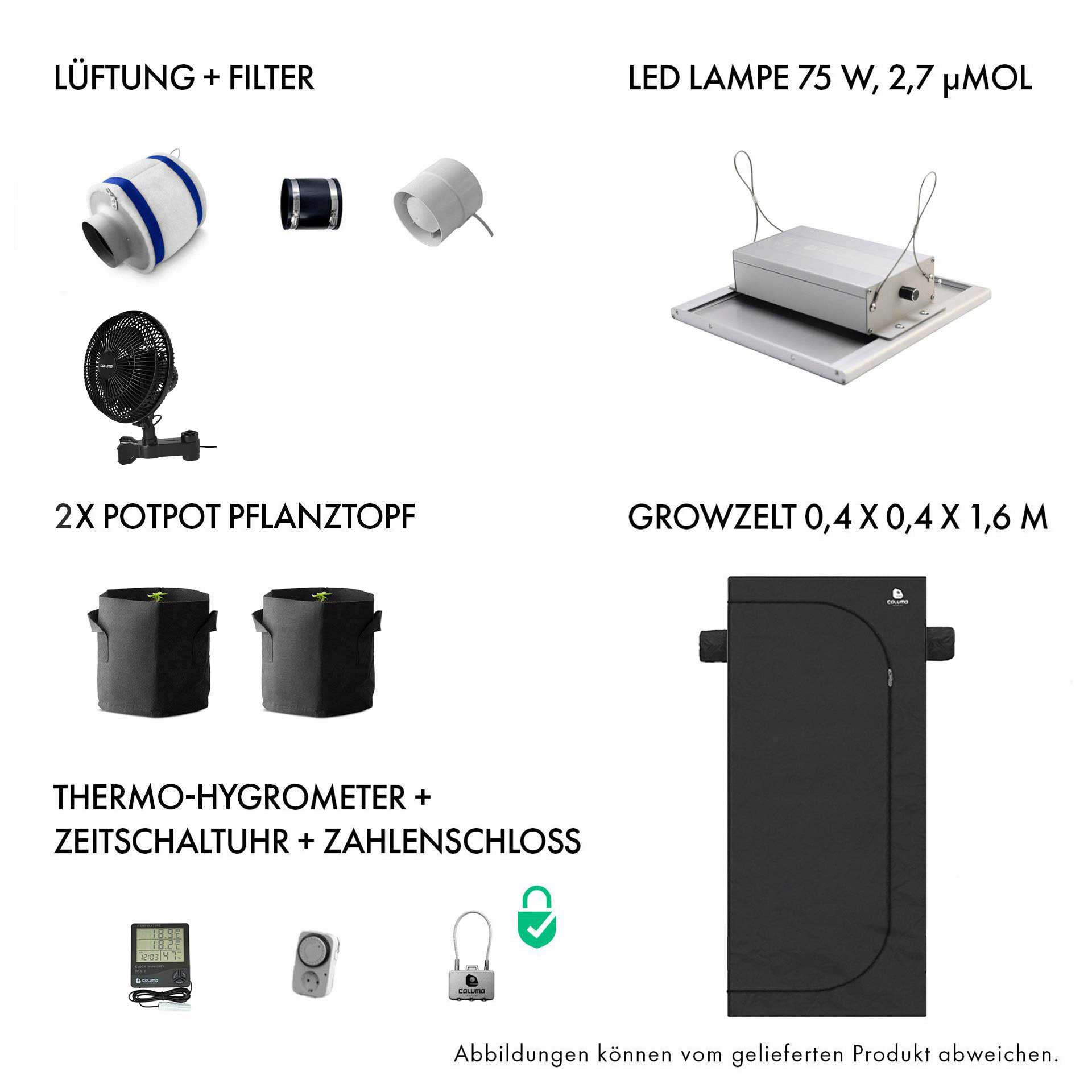 Caluma Set - 1 Plant (40 x 40 cm, 75 W)