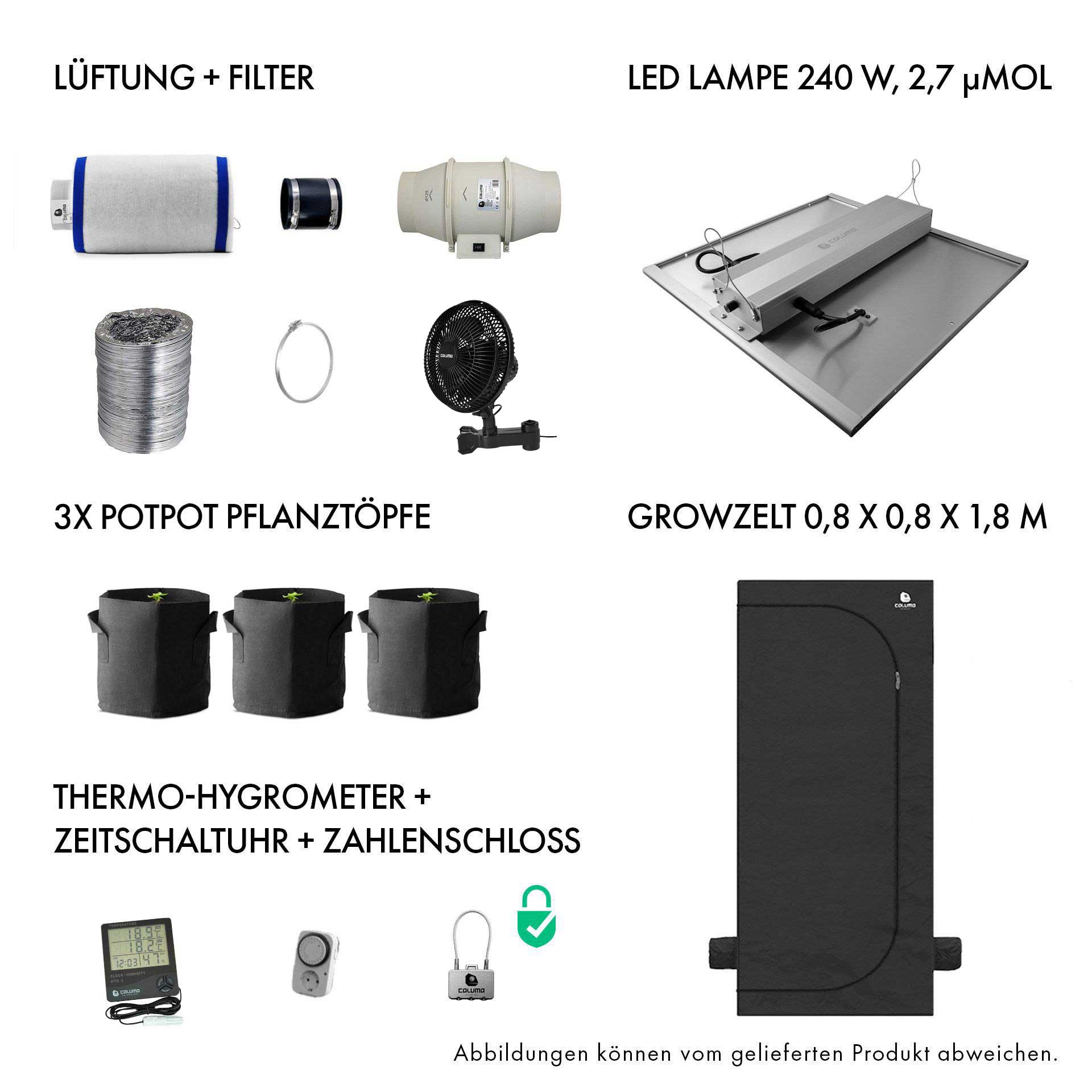 Caluma Set - 2 Plants Plus (80 x 80 cm, 240 W)