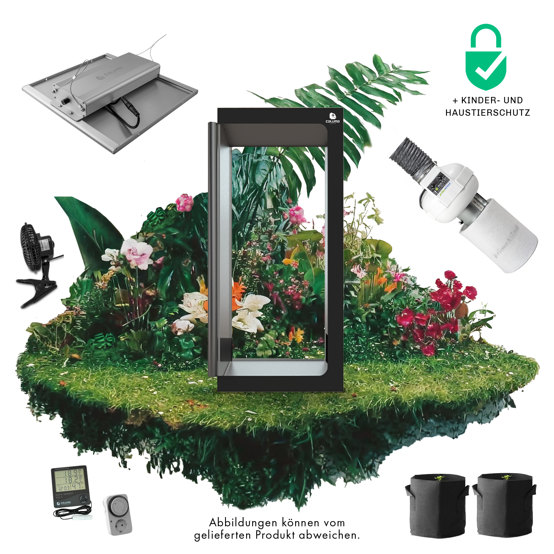 Caluma Set - 2 Plants Premium (80 x 80 cm, 150 W)
