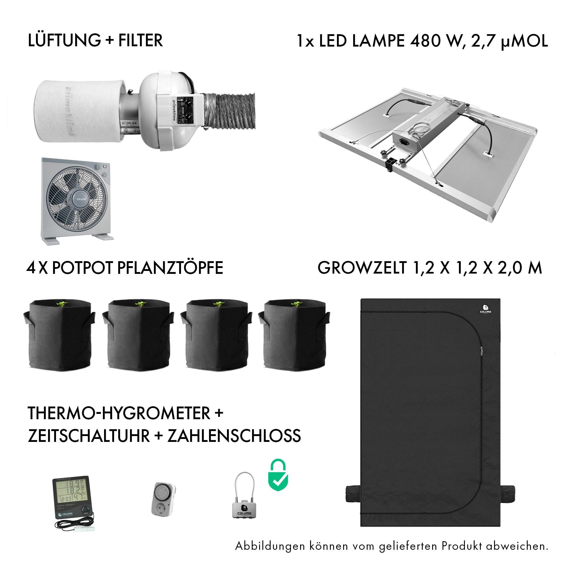 Caluma Set - 4 Plants Plus Premium  (120 x 120, 480 W)